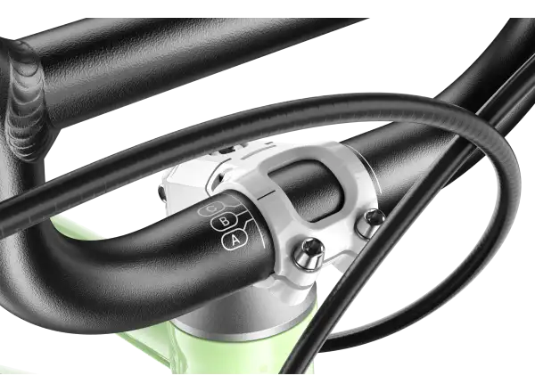 Woom GO 1 Plus rowerek biegowy dziecięcy 14 Spearmint Crush Limited