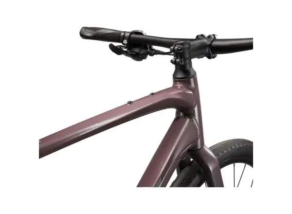 Giant FastRoad AR 3 rower trekkingowy Charcoal Plum