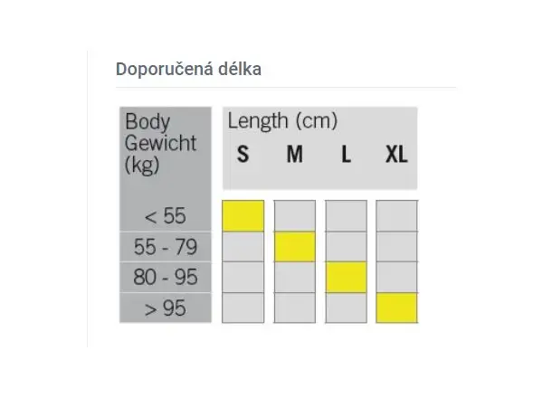 Fischer Twin Skin Cruiser EF narty biegowe + Control Step wiązanie zestaw 2023/24