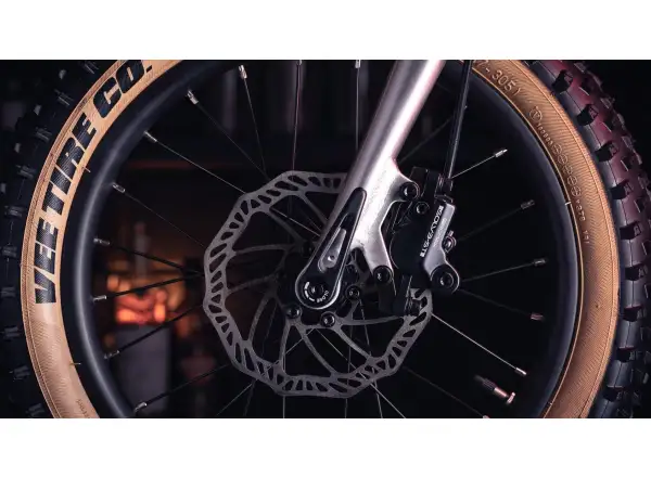 Early Rider Hellion 16 rower dziecięcy Brushed Aluminium