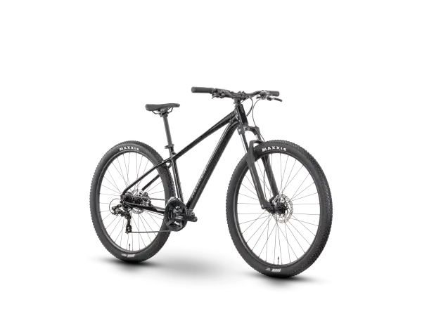 Raymon Nayta 29" rower górski Black/Iredesciant Black