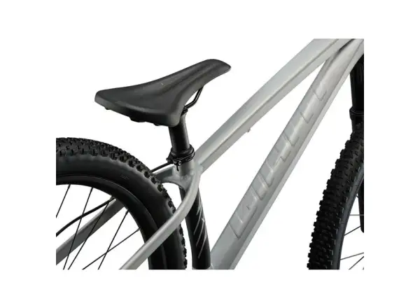 Giant STP 26 rower dirt Brush Aluminum