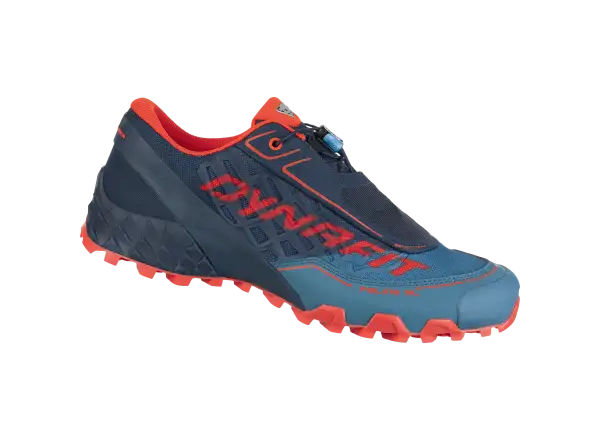 Dynafit Feline SL męskie buty do biegania Mallard Blue/Blueberry