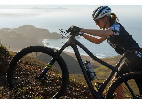 IBIS DV9 frame set Muddy Waters