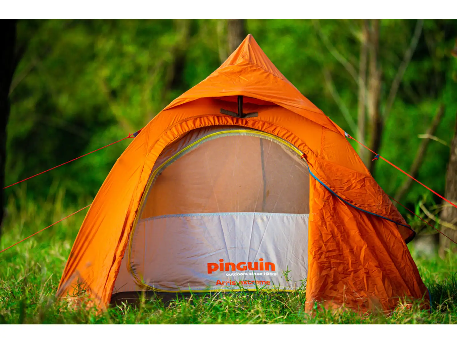 Pinguin Arris Extreme DAC Namiot 2 osoby pomarańczowa