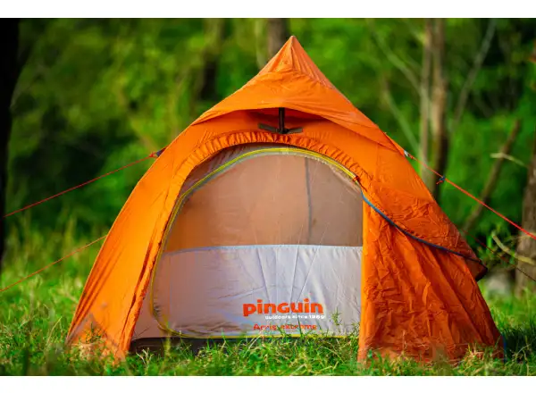 Pinguin Arris Extreme DAC Namiot 2 osoby pomarańczowa