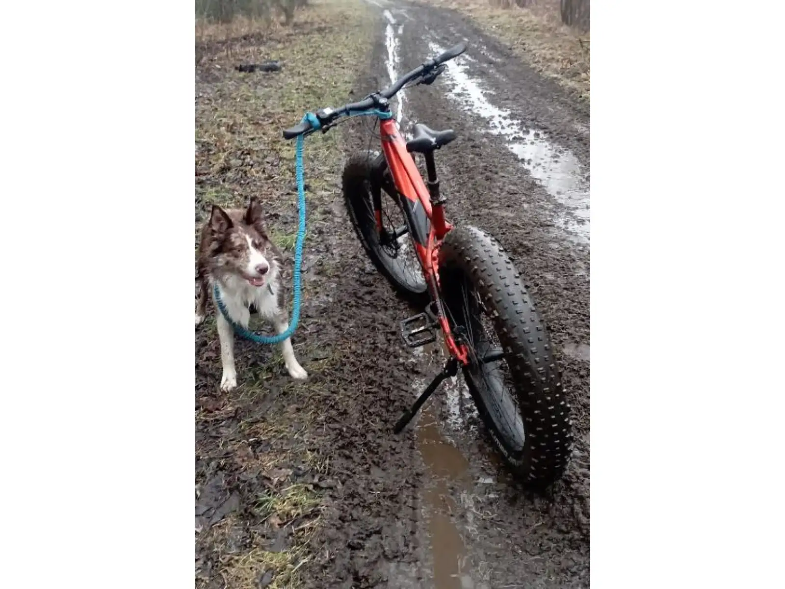 Rock Machine Avalanche INT e70-26 fatbike rower elektryczny Gloss Metallic Orange/Silver