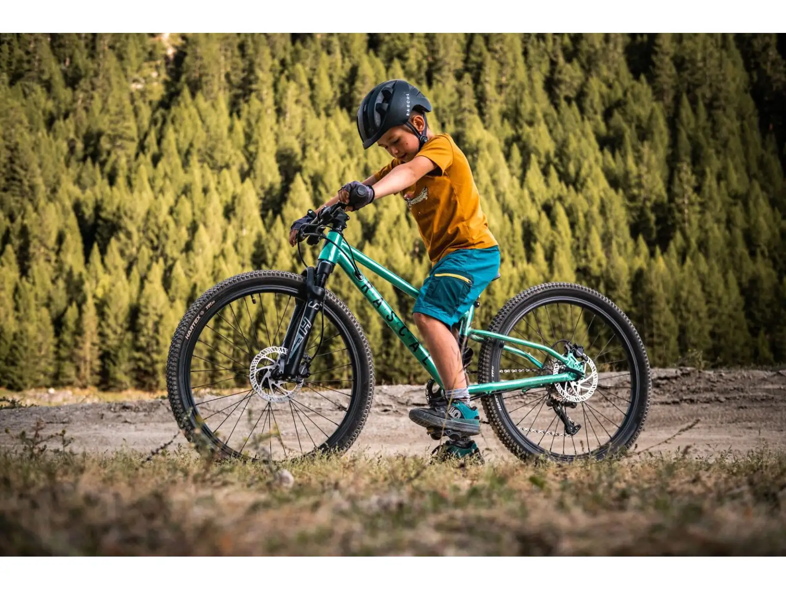 Rascal Wild 24 rower dziecięcy Emerald