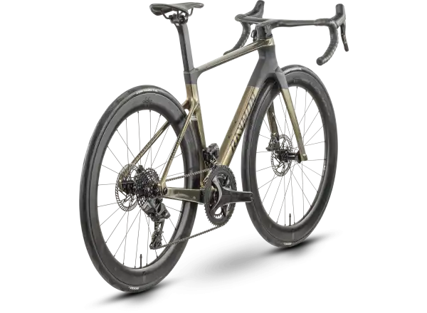 Raymon Arva Elite 26s Record rower szosowy carbon/champagne
