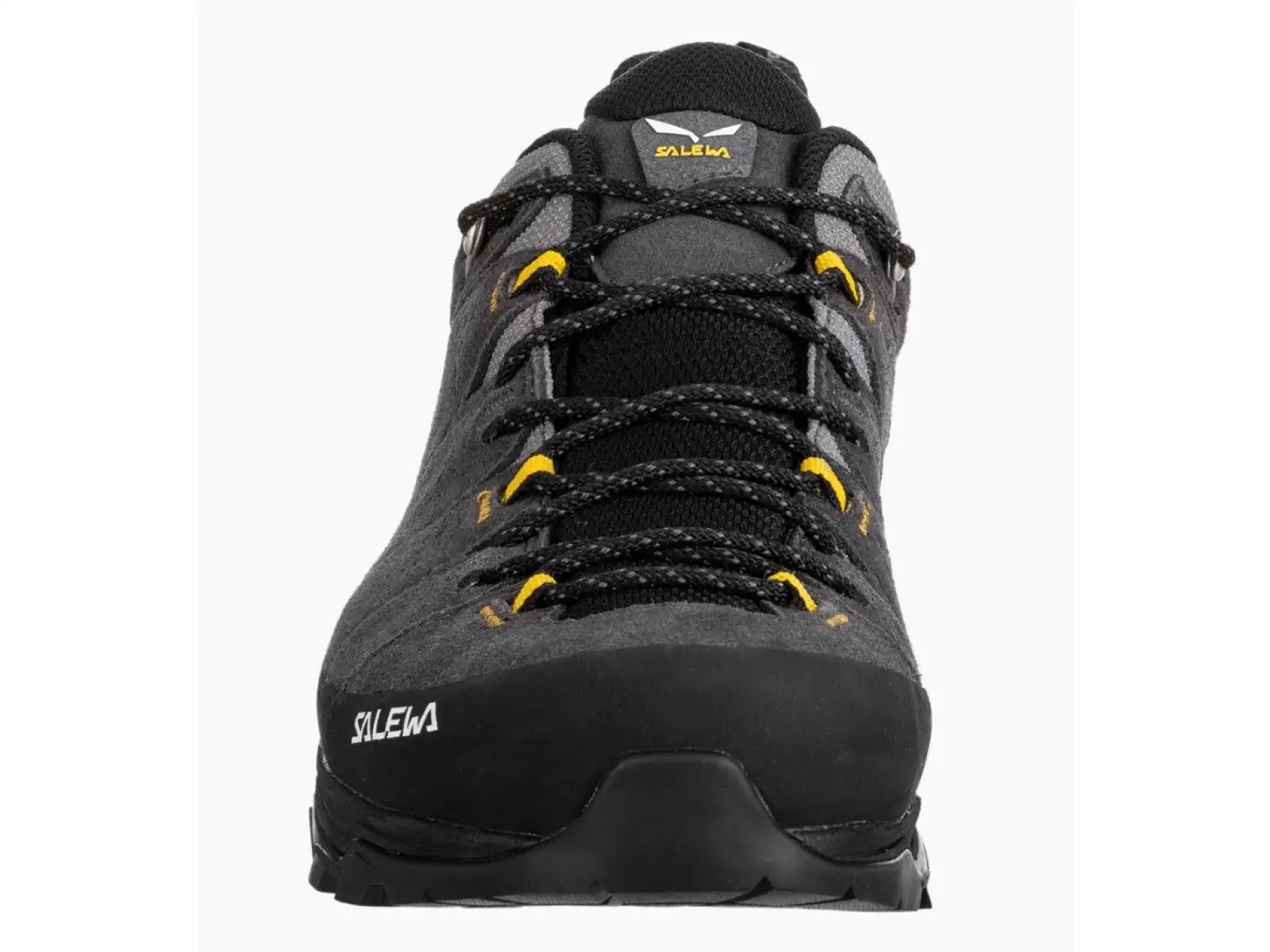 Salewa Alp Trainer 2 GTX męskie buty Onyx Black