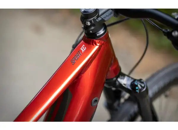 Superior eXC 7019 B rower elektryczny górski Gloss Dark Red/Chrome Silver