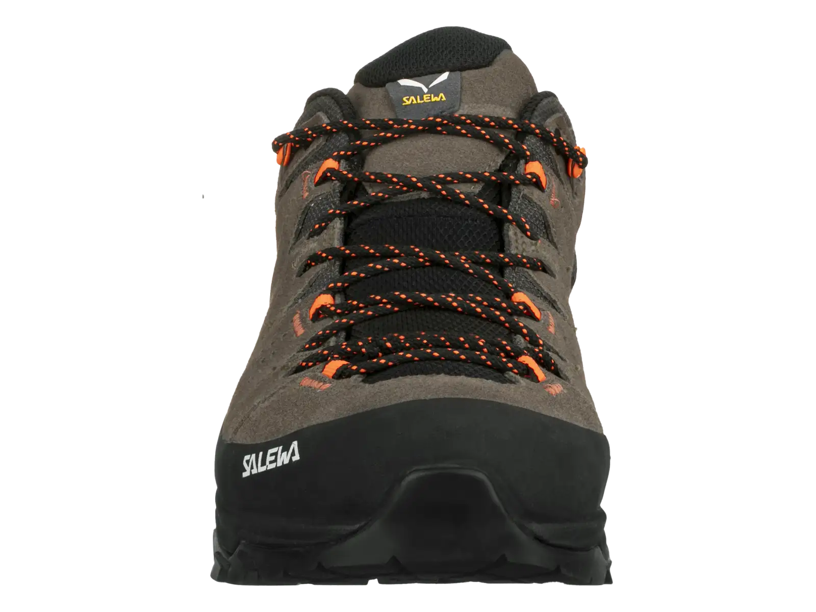 Salewa Alp Trainer 2 GTX męskie buty Bungee Cord/Black