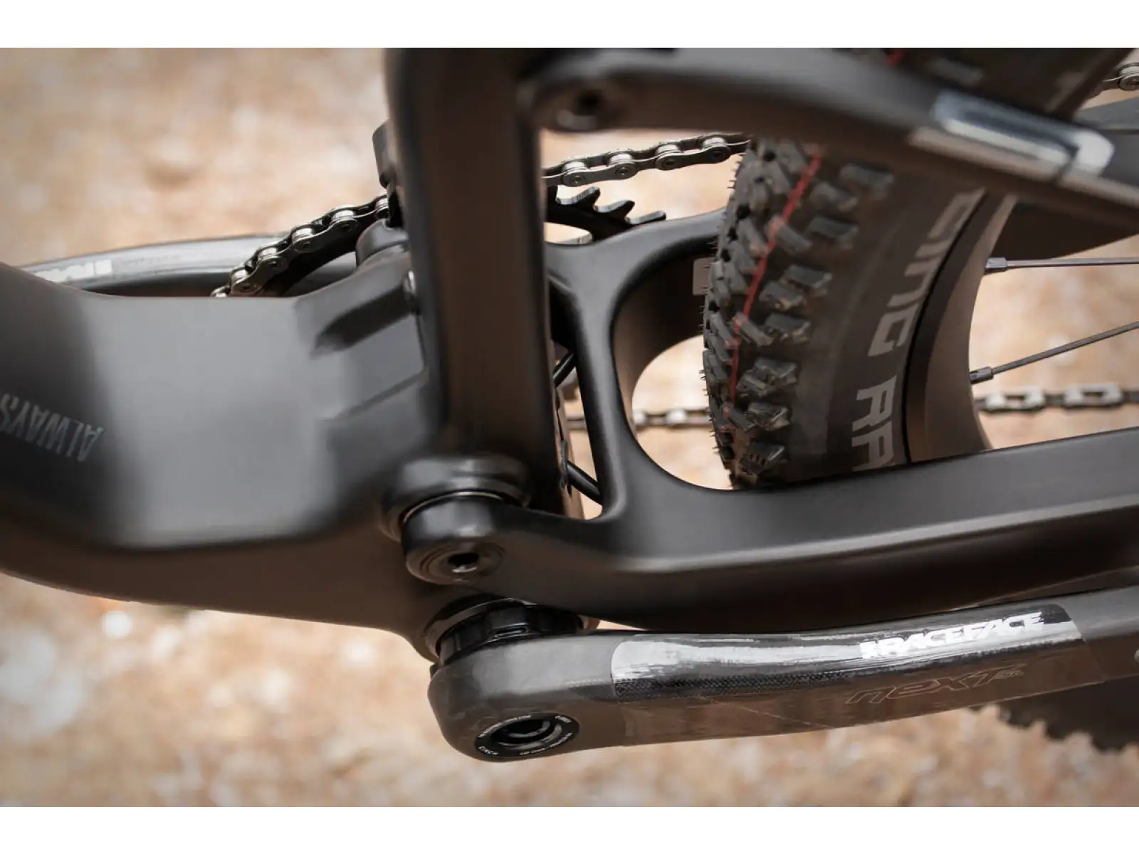 Superior Team XF 29 Issue rower górski Gloss Carbon/Chrome