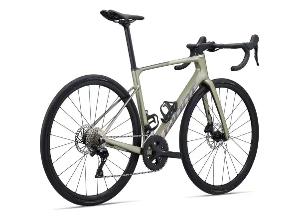 Giant Defy Advanced 2 rower szosowy bay leaf