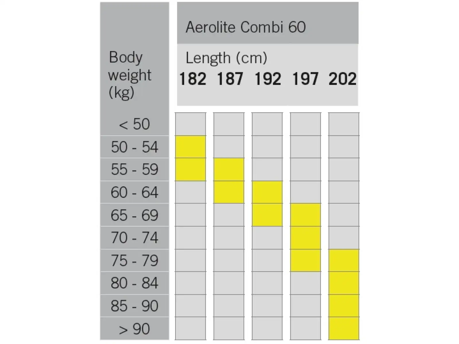 Fischer Aerolite Combi 60 narty biegowe + Race Combi wiązanie zestaw 2024/25