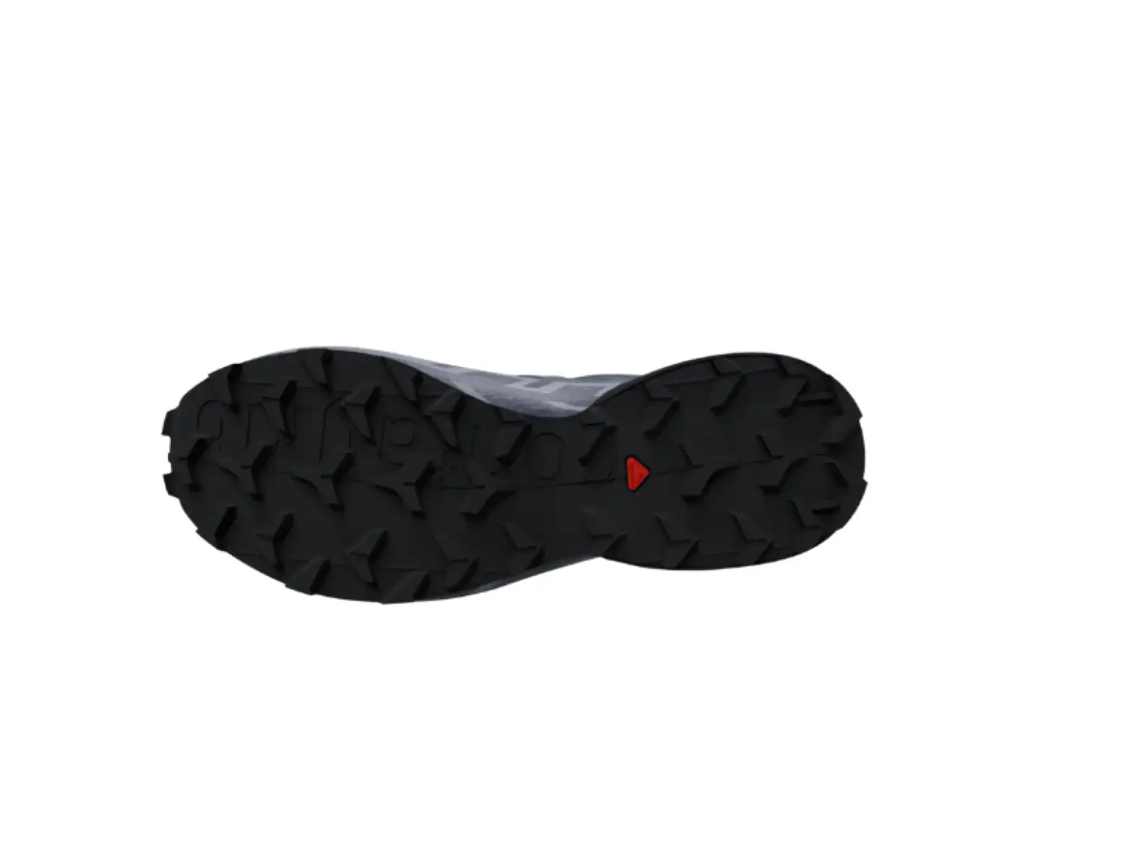 Salomon Speedcross 6 GTX męskie buty do biegania Spellb/Black/Trade
