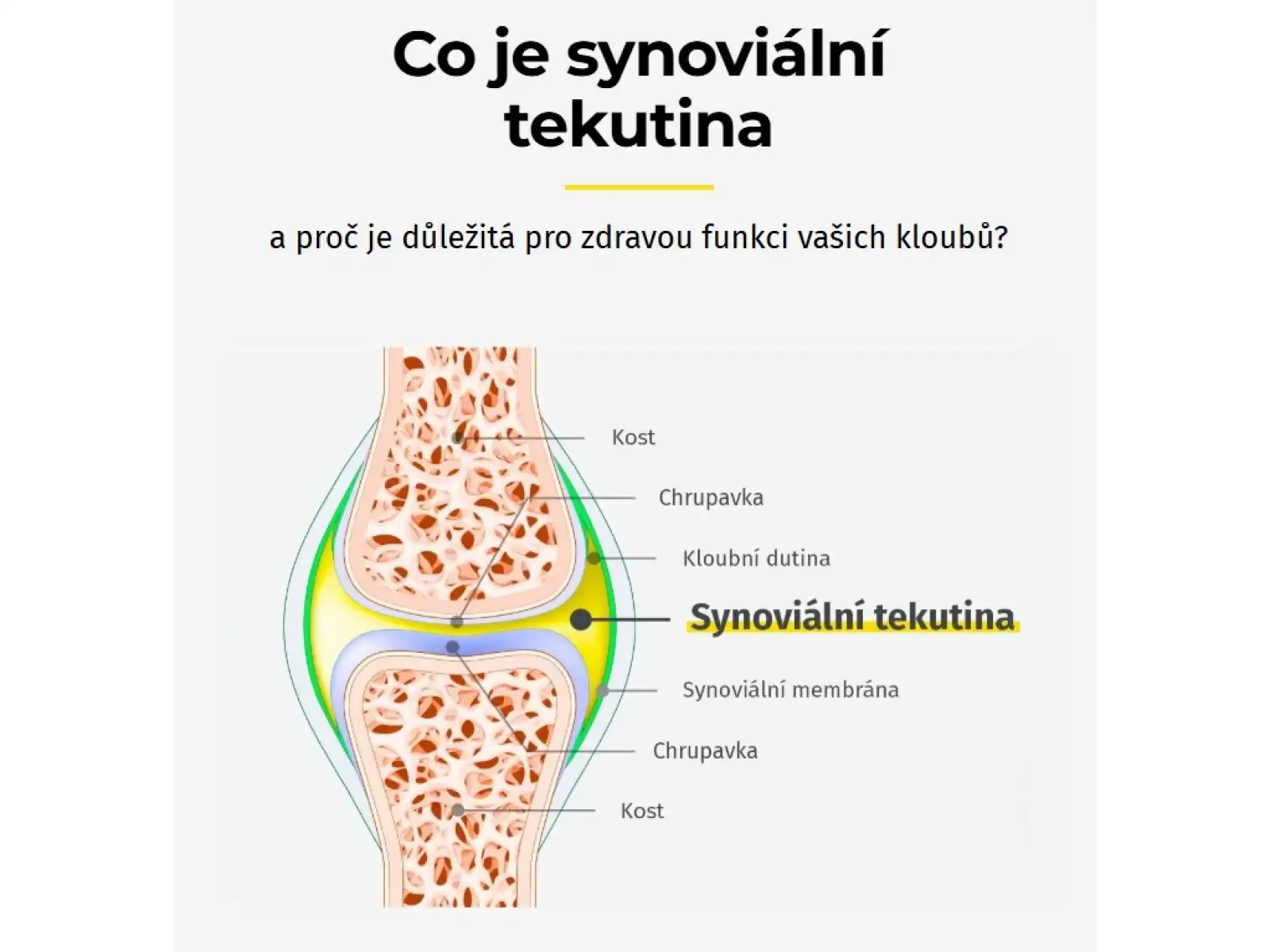 Namman Muay Movifar 30 kapsułek