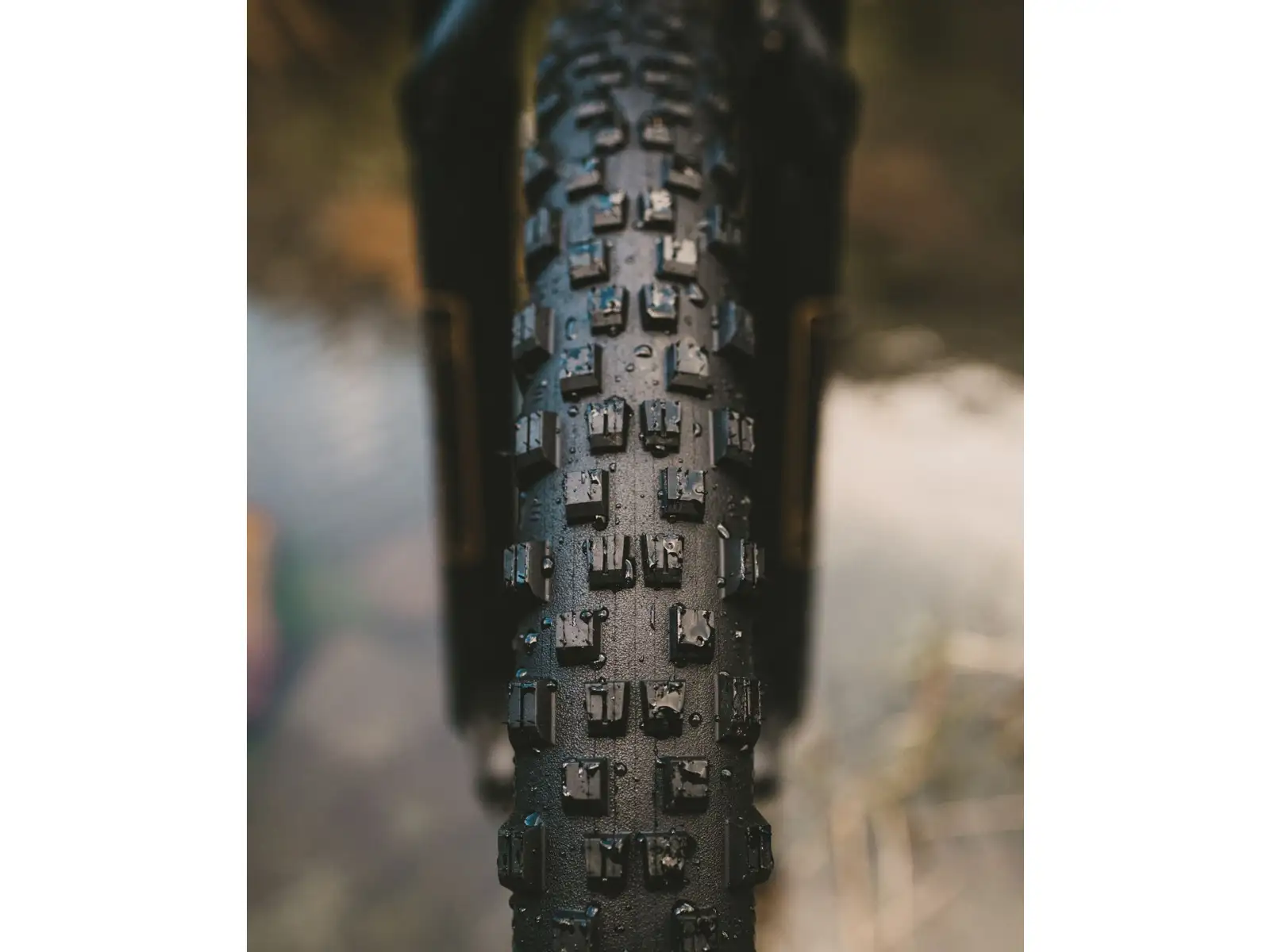 Goodyear Newton MTF Downhill Tubeless Complete 29x2,50" MTB opona kevlar
