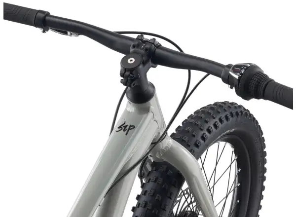 Giant STP 20 rower dziecięcy Concrete