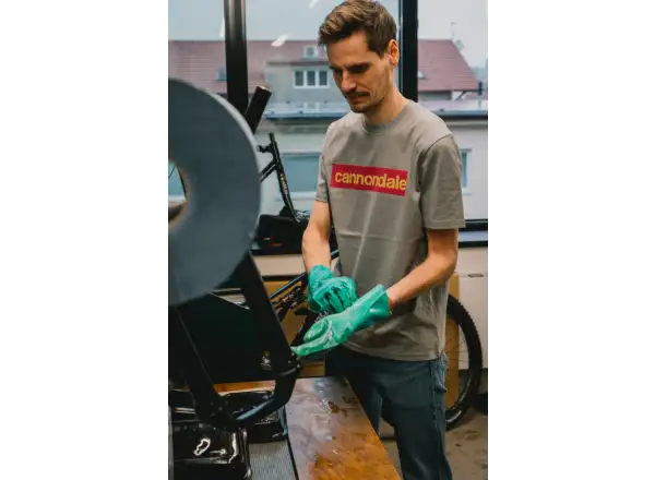 Cannondale Lifestyle uniseks koszulka z krótkim rękawem Mgr/Orc/Pyl