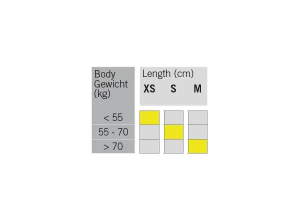 Fischer Mystique EF narty biegowe + Control Step wiązania zestaw