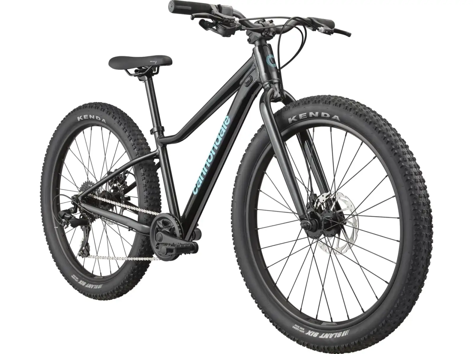 Cannondale Kids Trail Plus 24 rower dziecięcy Black Pearl