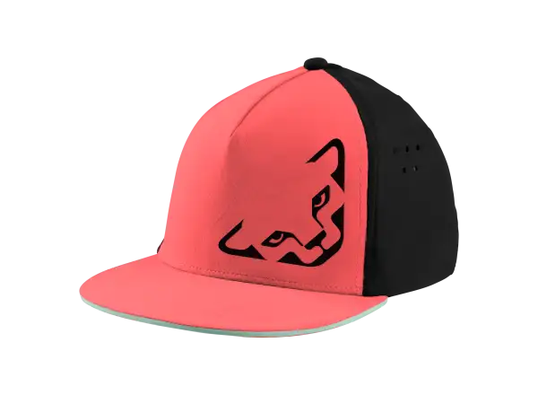Dynafit Tech Trucker czapka z daszkiem Cabana