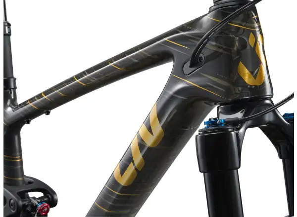Liv Pique Advanced 29 1 rower górski Raw Carbon