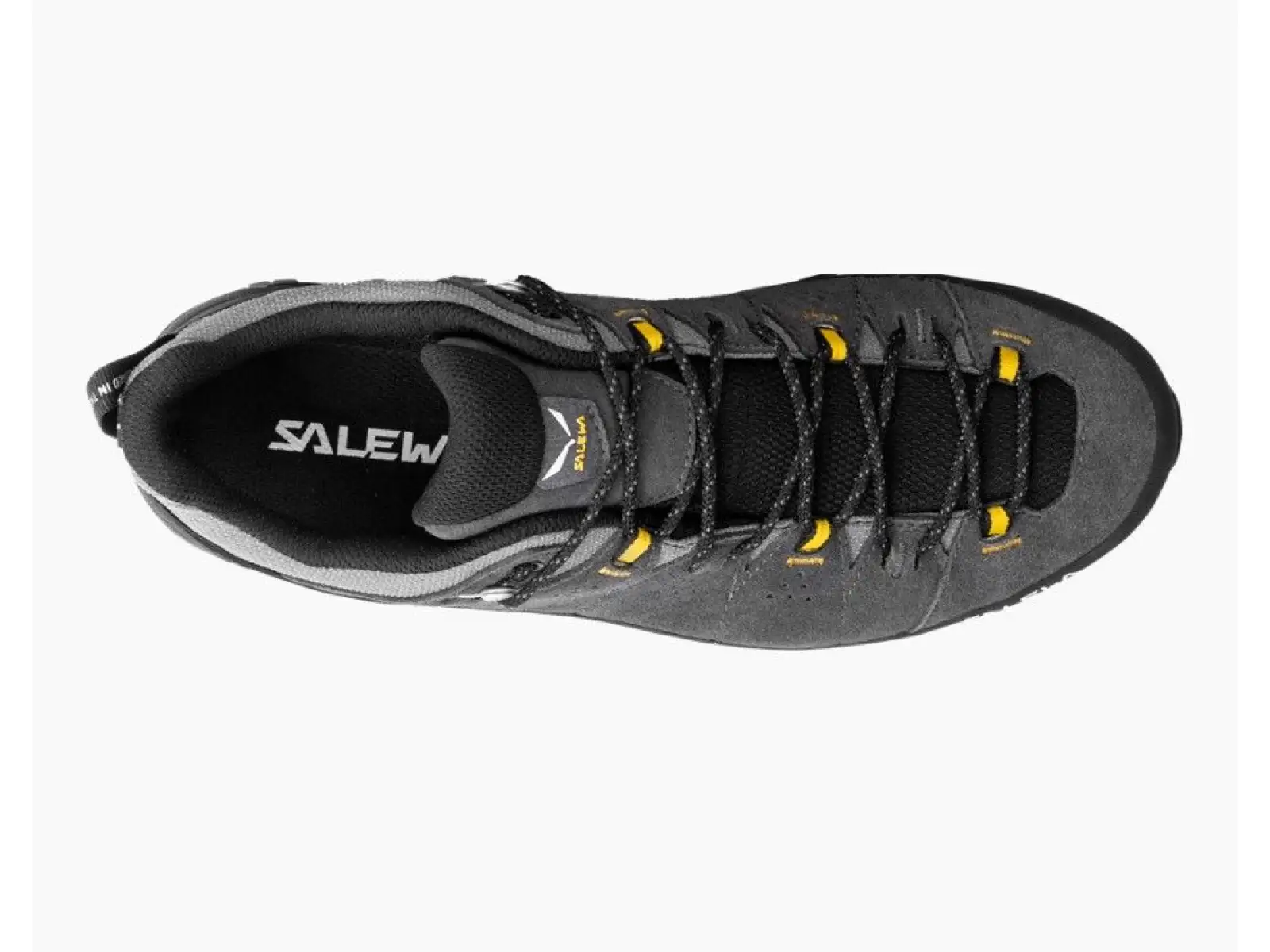 Salewa Alp Trainer 2 GTX męskie buty Onyx Black