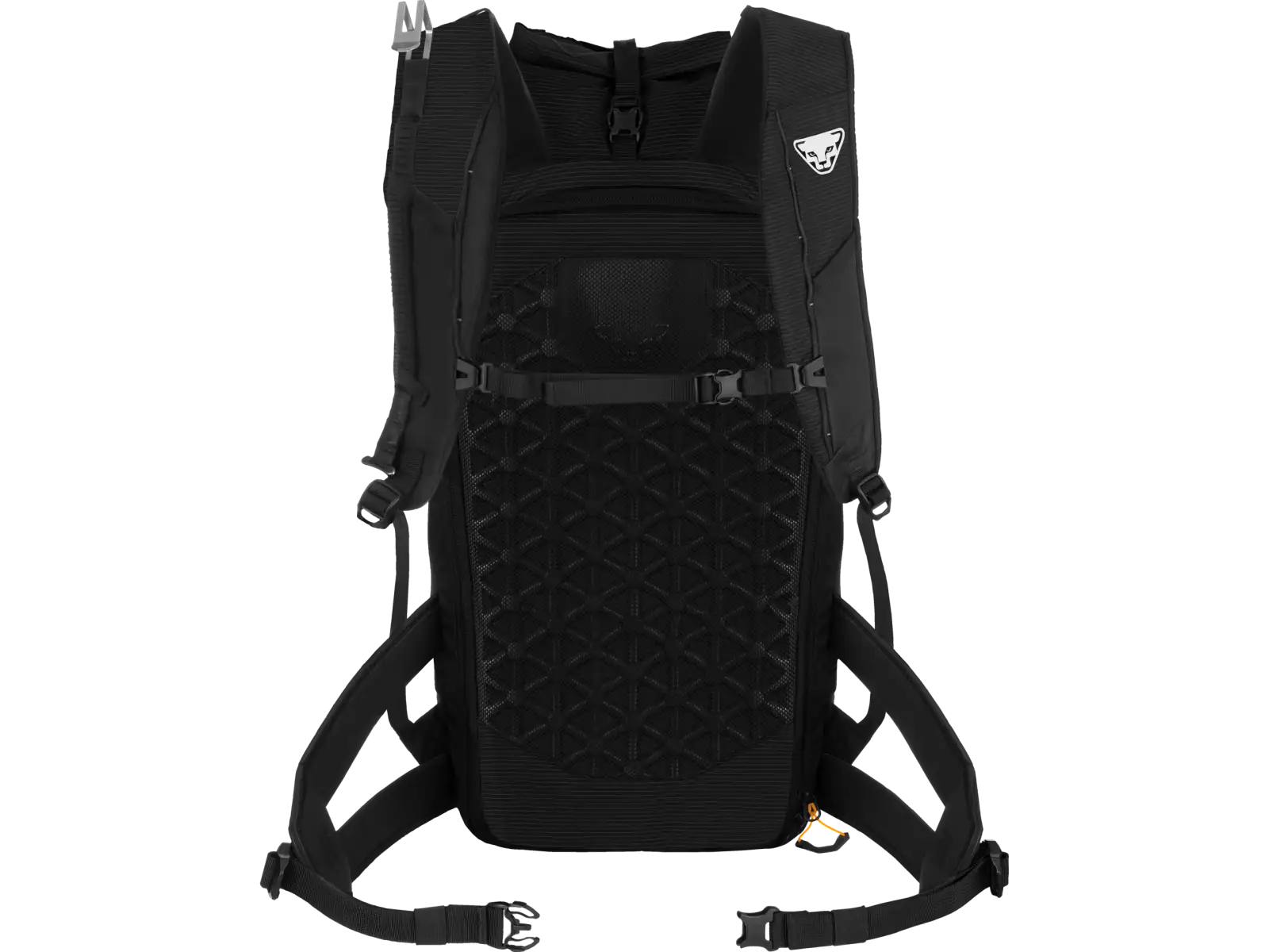 Dynafit Radical 30+ plecak 30 l Black Out