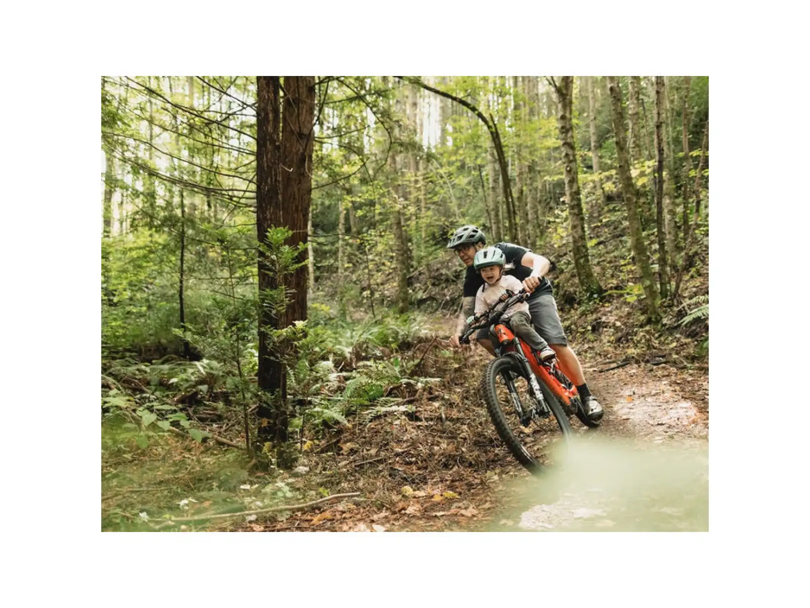 Kids Ride Shotgun fotelik dziecięcy MTB Pro Kids