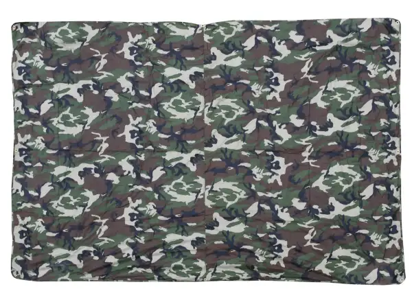 Cattara plandeka 2x3 m