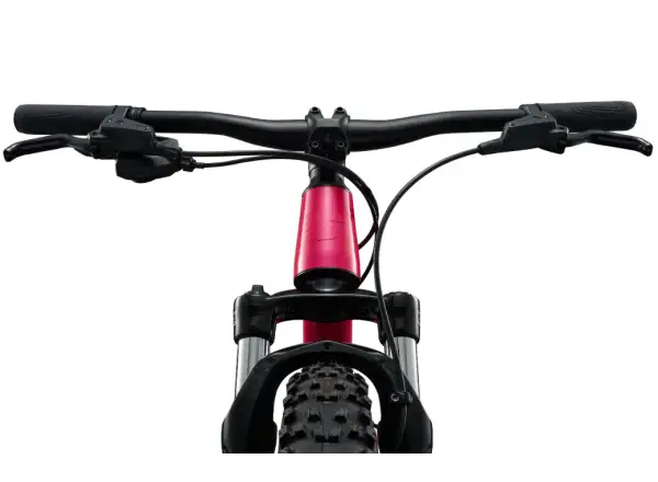 Liv STP 20 dziecięcy rower górski Hot Pink