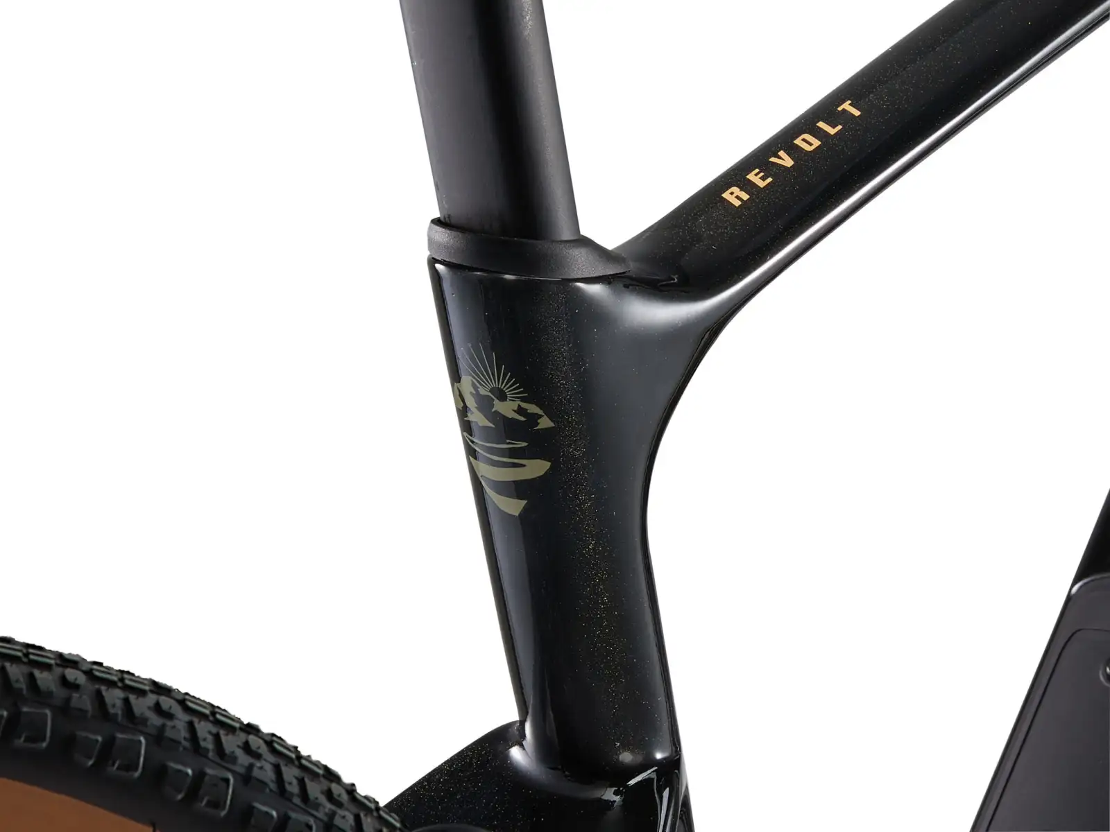Giant Revolt Advanced 3 gravel rower Panther