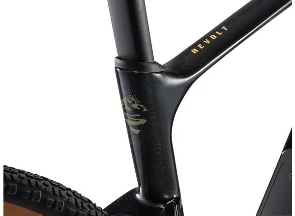 Giant Revolt Advanced 3 gravel rower Panther
