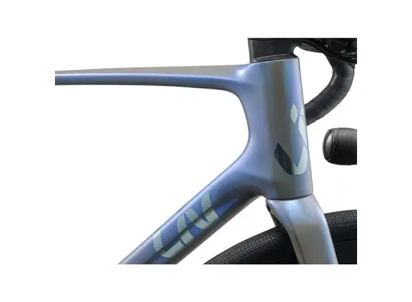 Liv Avail Advanced 2 rower szosowy Moonstone/Gray