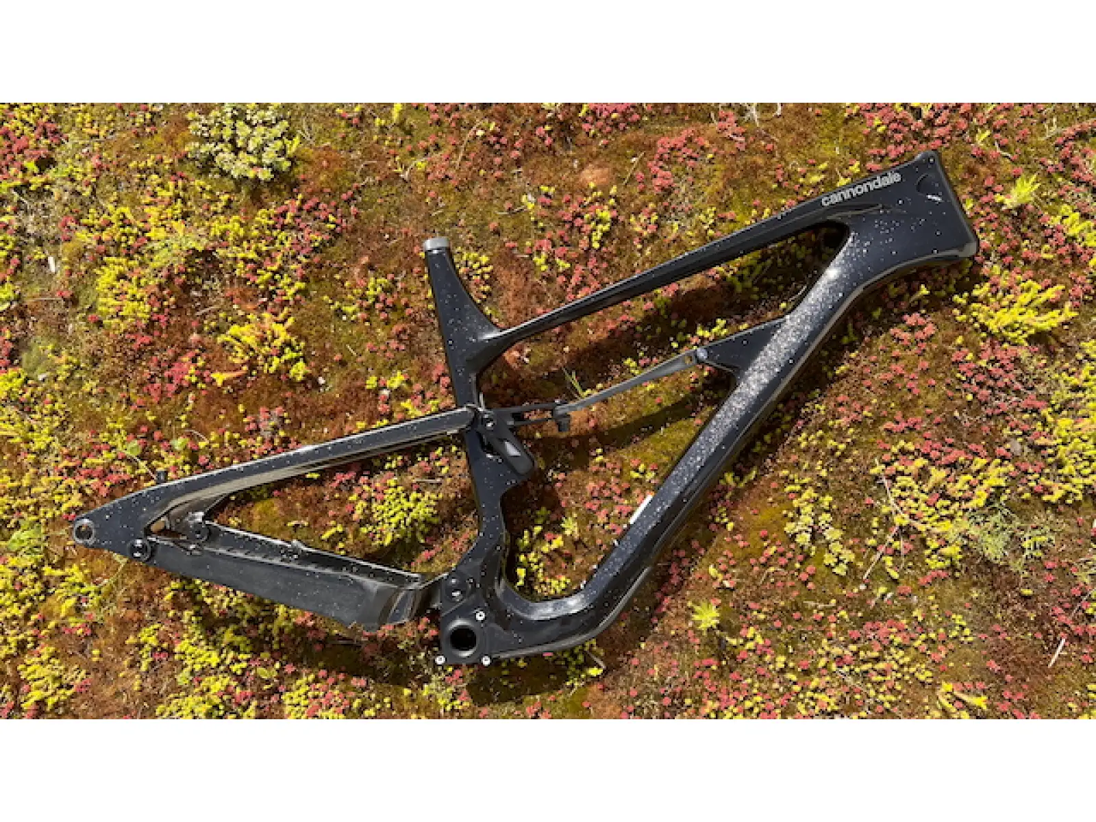 Cannondale Habit Carbon 29" MTB rama GDT