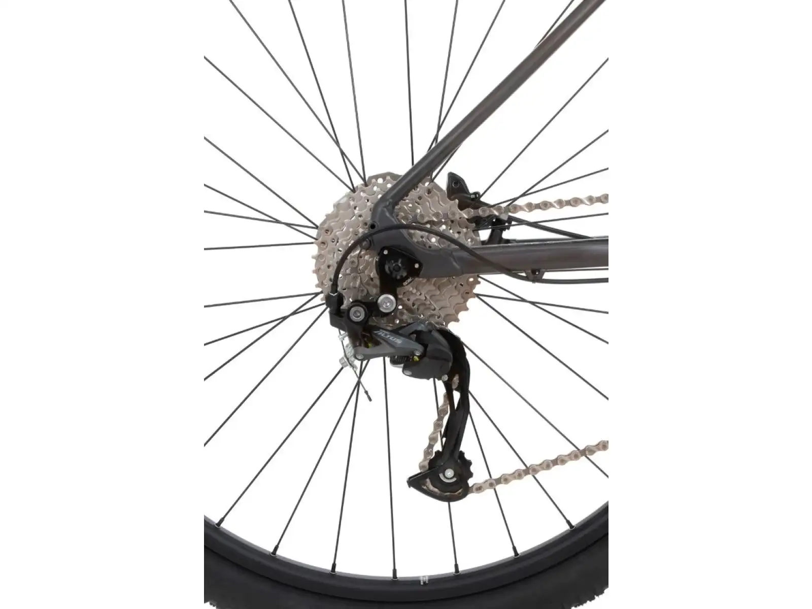 Rock Machine Catherine 20-29 mat anthracite grey/mint green/grey rower górski