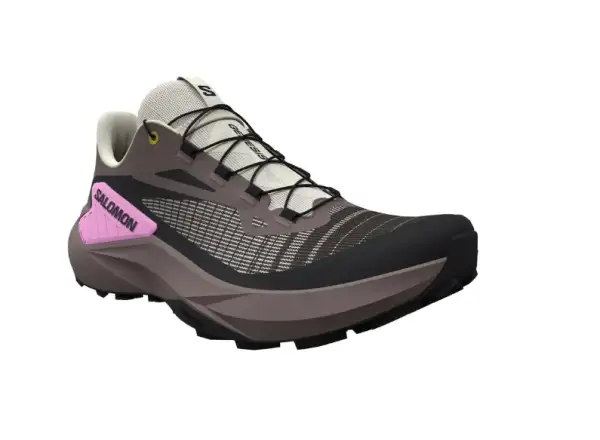 Salomon Genesis damskie buty do biegania Iron/Vanilla Ice/Cyclamen