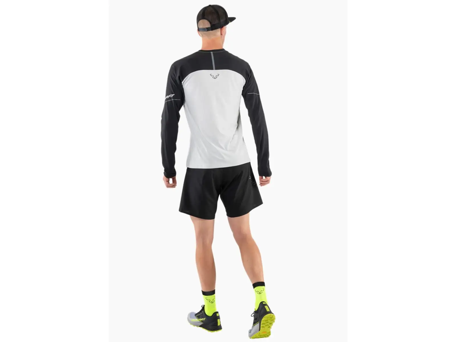 Dynafit Alpine Pro męska koszulka z długim rękawem Blueberry/Storm Blue