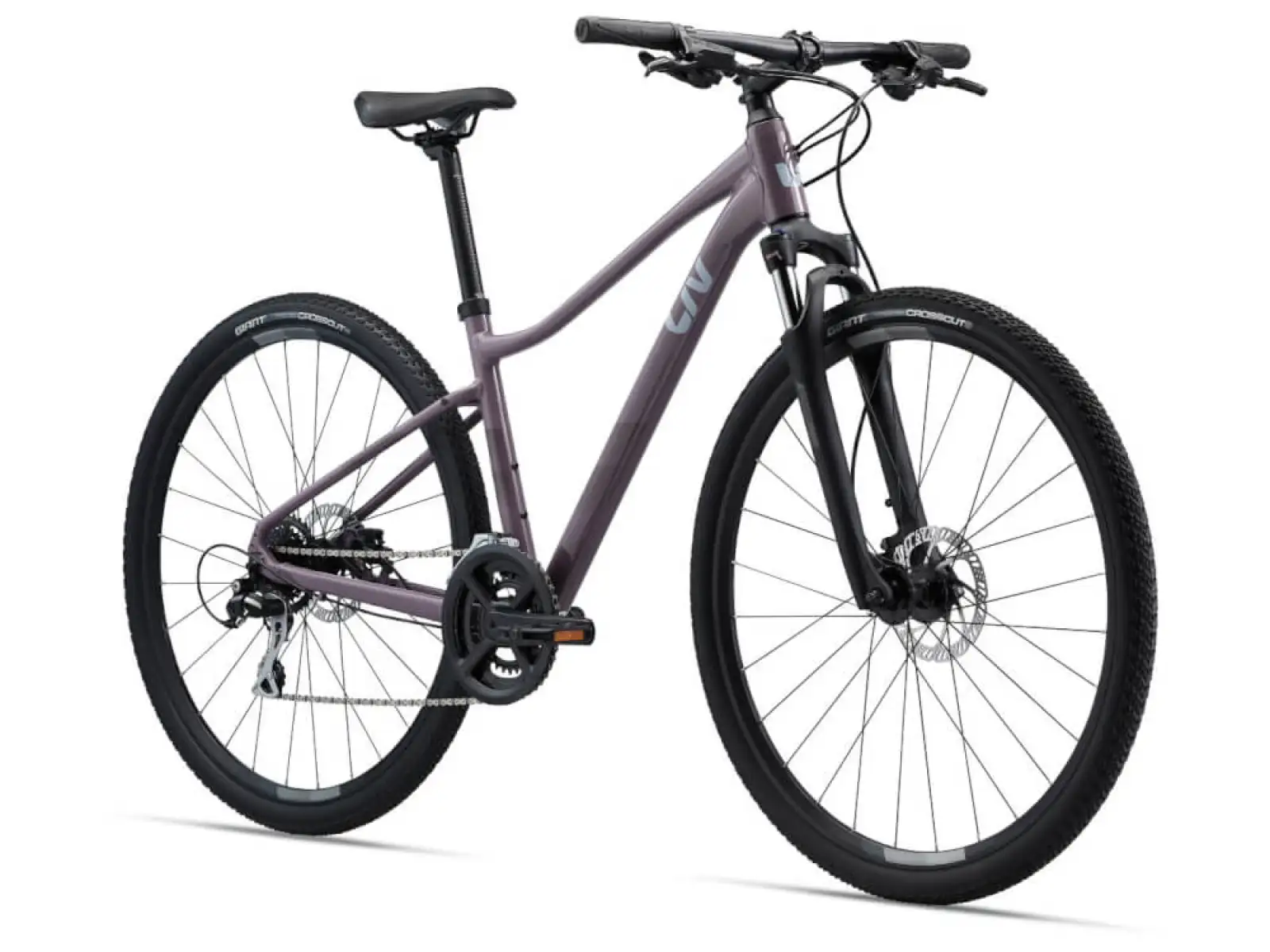 Liv Rove 3 DD Purple ash rower trekkingowy