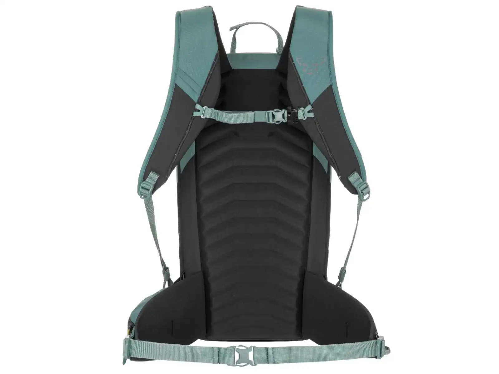 Dynafit Ridge plecak 26 l Atlantic/Black Out