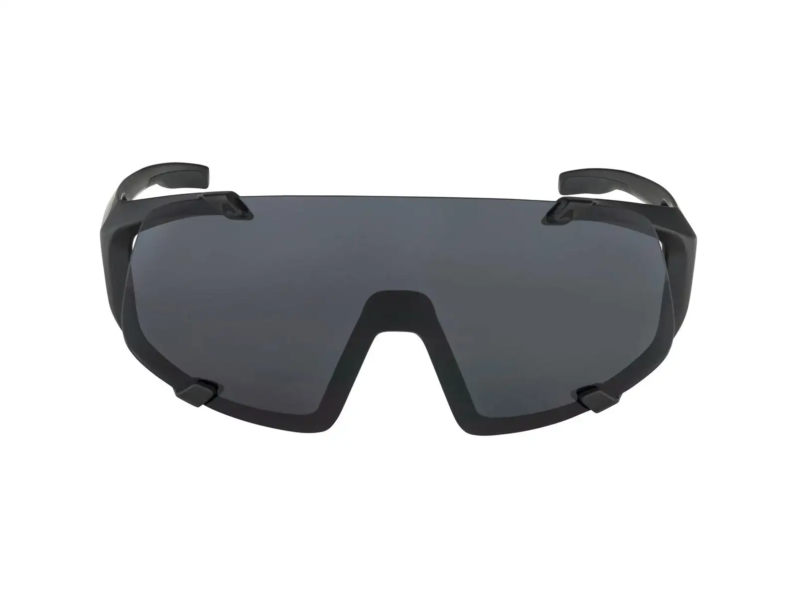 Alpina Hawkeye okulary All Black Matt