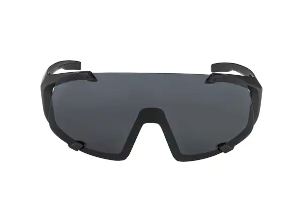 Alpina Hawkeye okulary All Black Matt