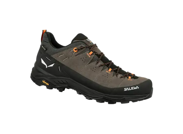 Salewa Alp Trainer 2 GTX męskie buty Bungee Cord/Black