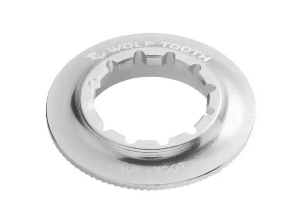 Wolf Tooth nakrętka Centerlock Rotor Internal Spline raw srebrna