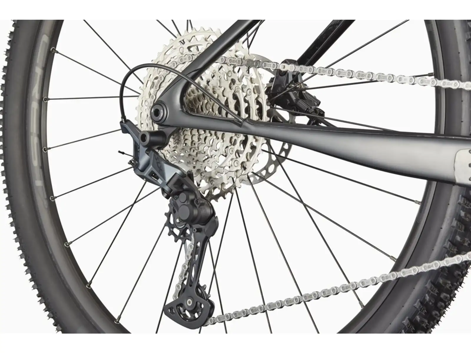 Cannondale Scalpel HT Carbon 2 rower górski SBK