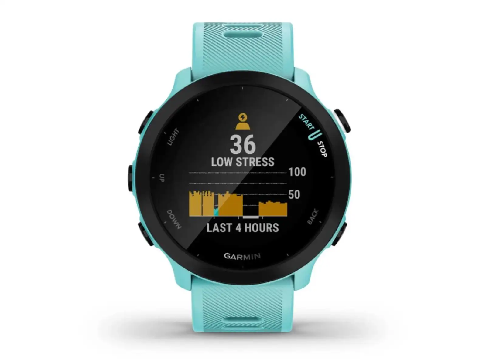 Garmin Forerunner 55 smartwatch Aqua