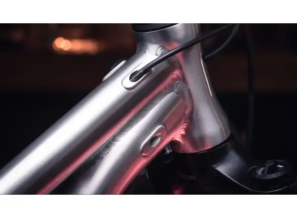 Early Rider Hellion 20 rower dziecięcy Brushed Aluminium