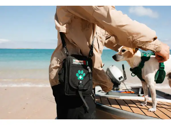 Survival First Aid Kit PET profesjonalna apteczka